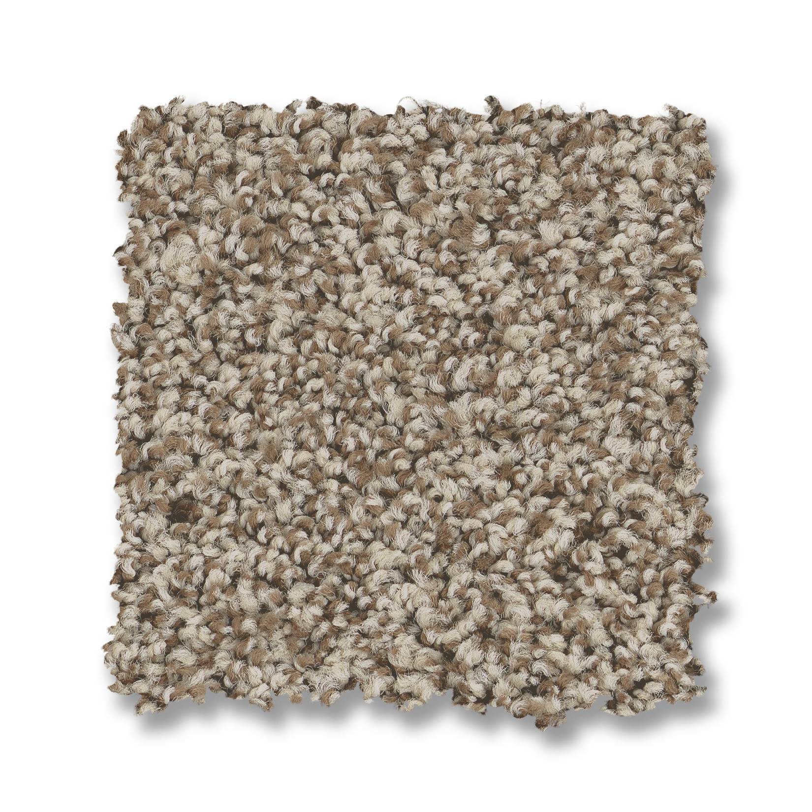 Paso Doble Carpet - Pashmina Swatch Thumbnail pupop1