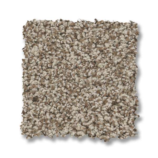 Style Paso Doble Carpet - Pashmina Swatch