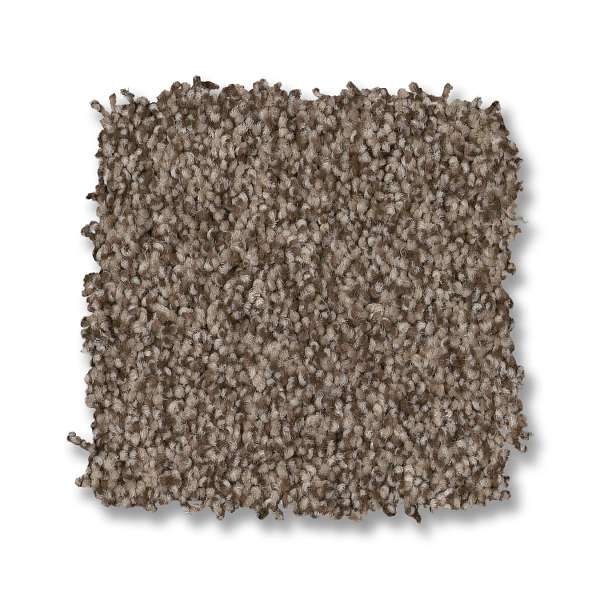 Style Paso Doble Carpet - Palm Desert Swatch