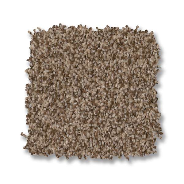 Style Paso Doble Carpet - Ranch Swatch