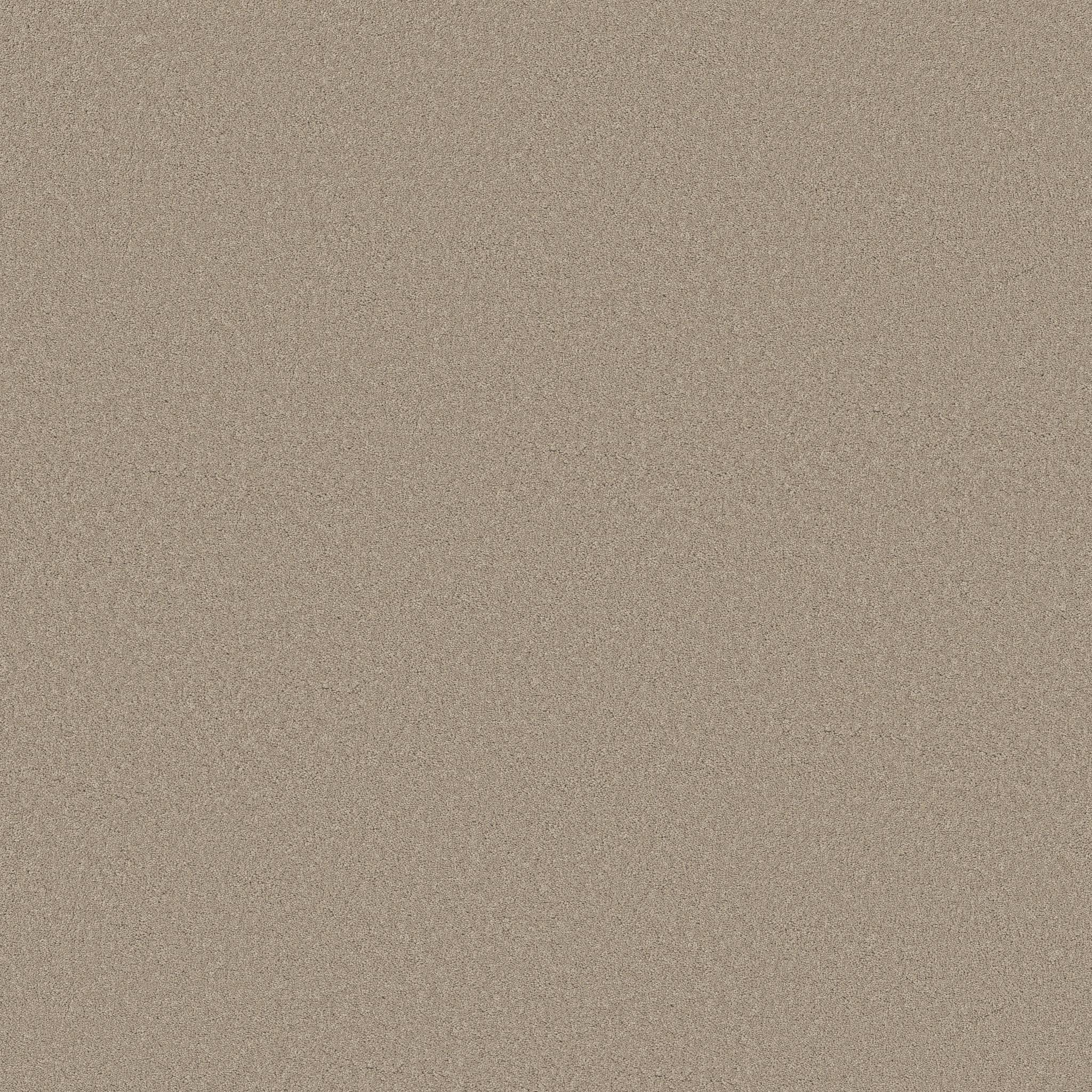 Gold Star Liberty Carpet - Cashmere Zoomed Swatch Image