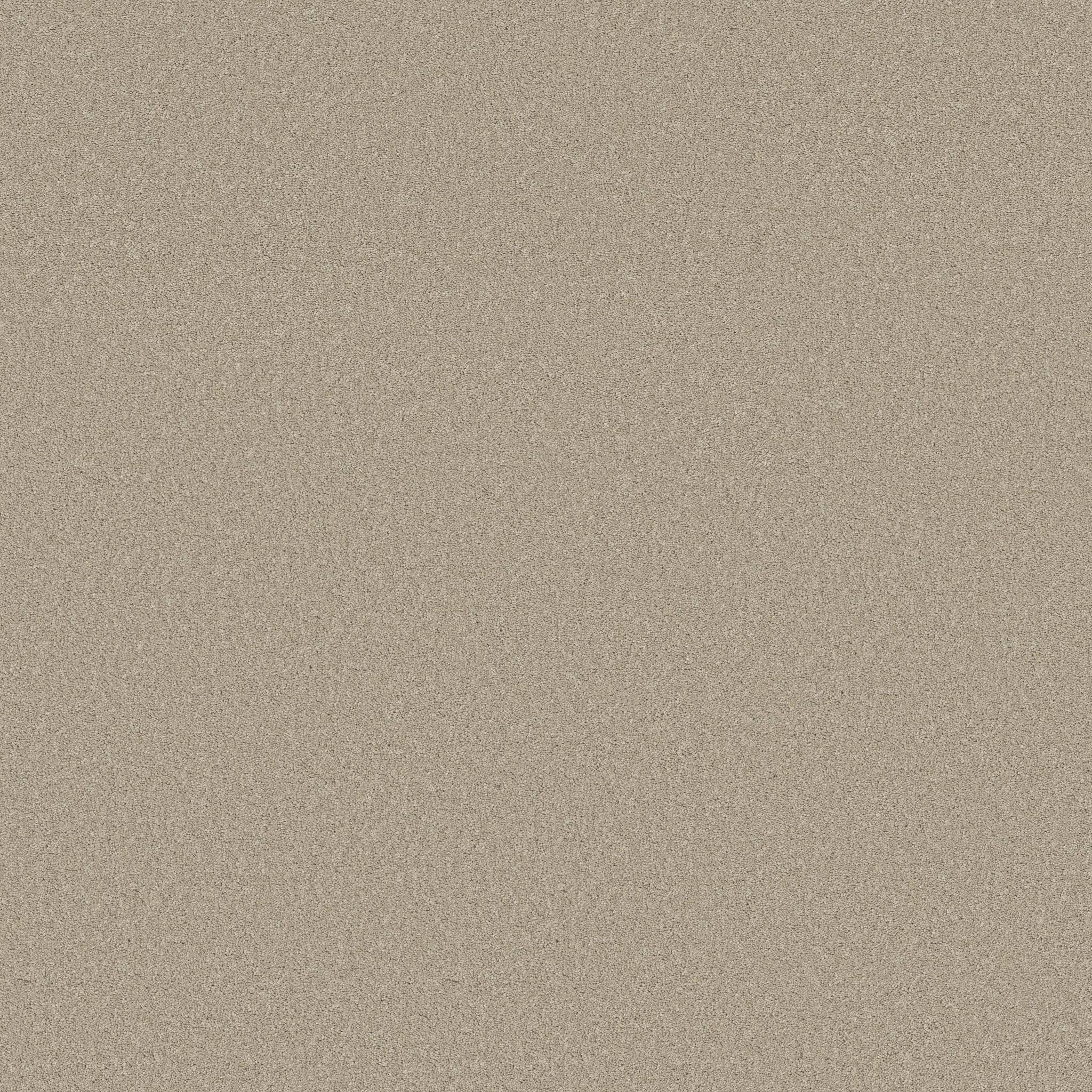 Gold Star Liberty Carpet - Velvet Haze Zoomed Swatch Image