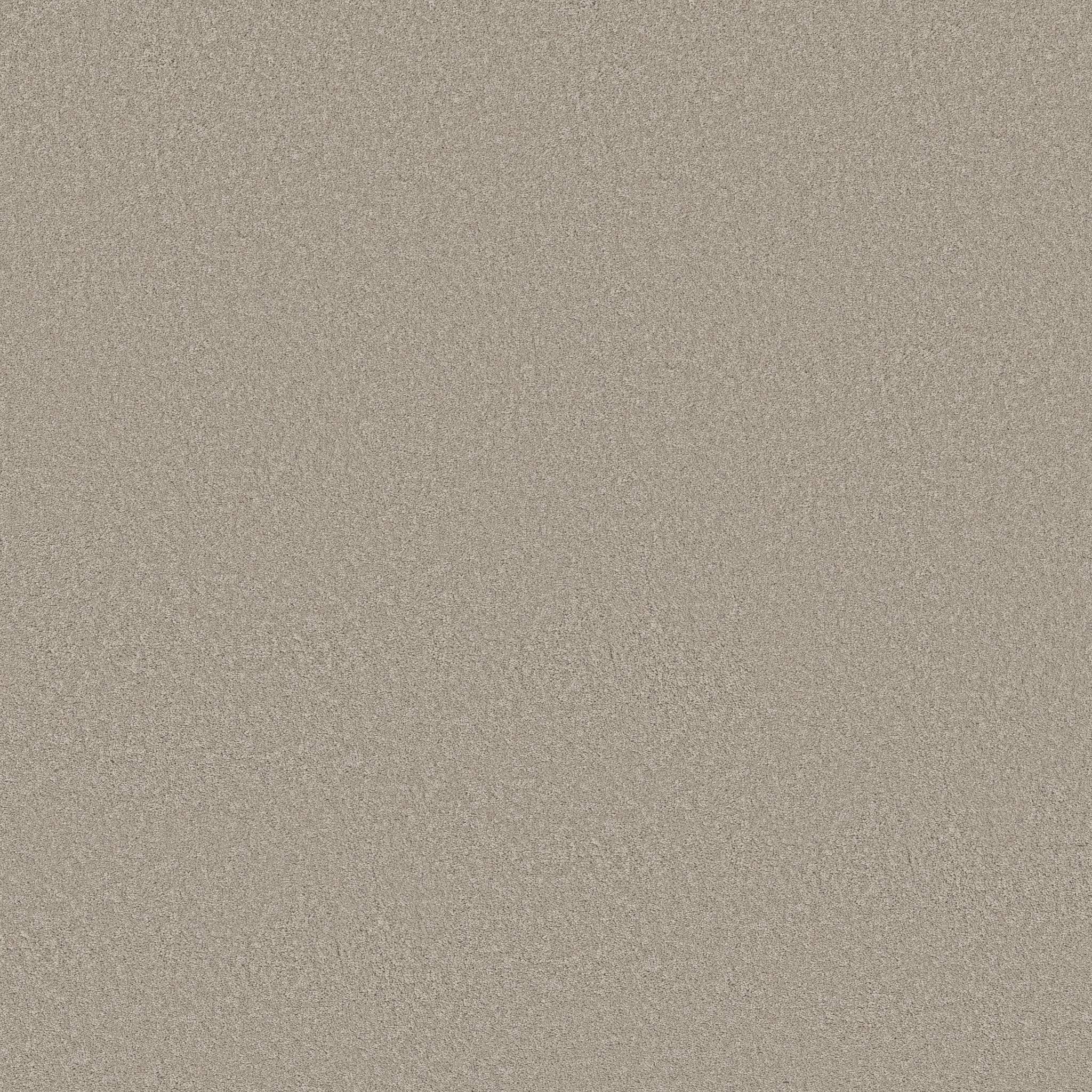 Gold Star Liberty Carpet - Oatmeal Zoomed Swatch Image