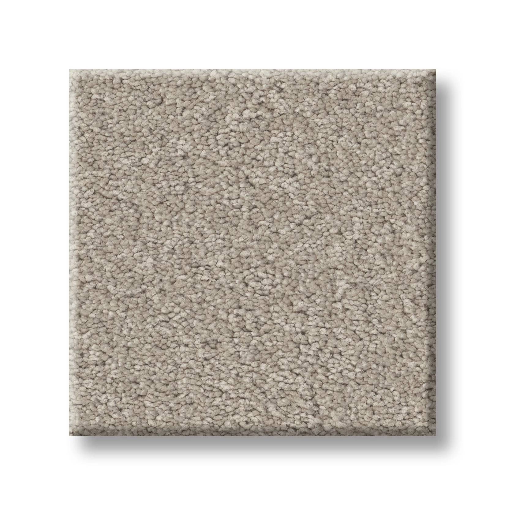 Gold Star Liberty Carpet - Oatmeal Swatch Thumbnail pupop1