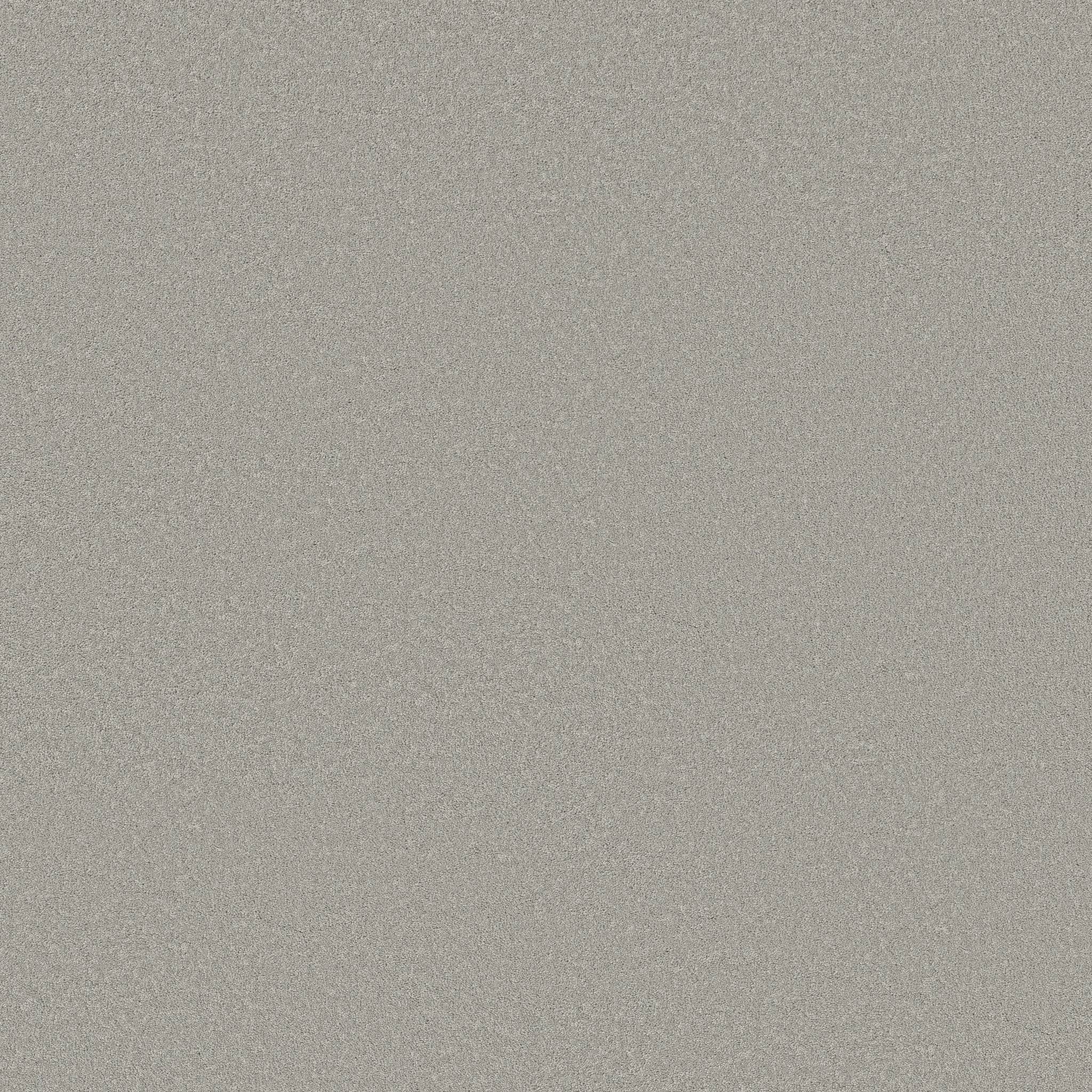 Gold Star Liberty Carpet - Moonstone Zoomed Swatch Image