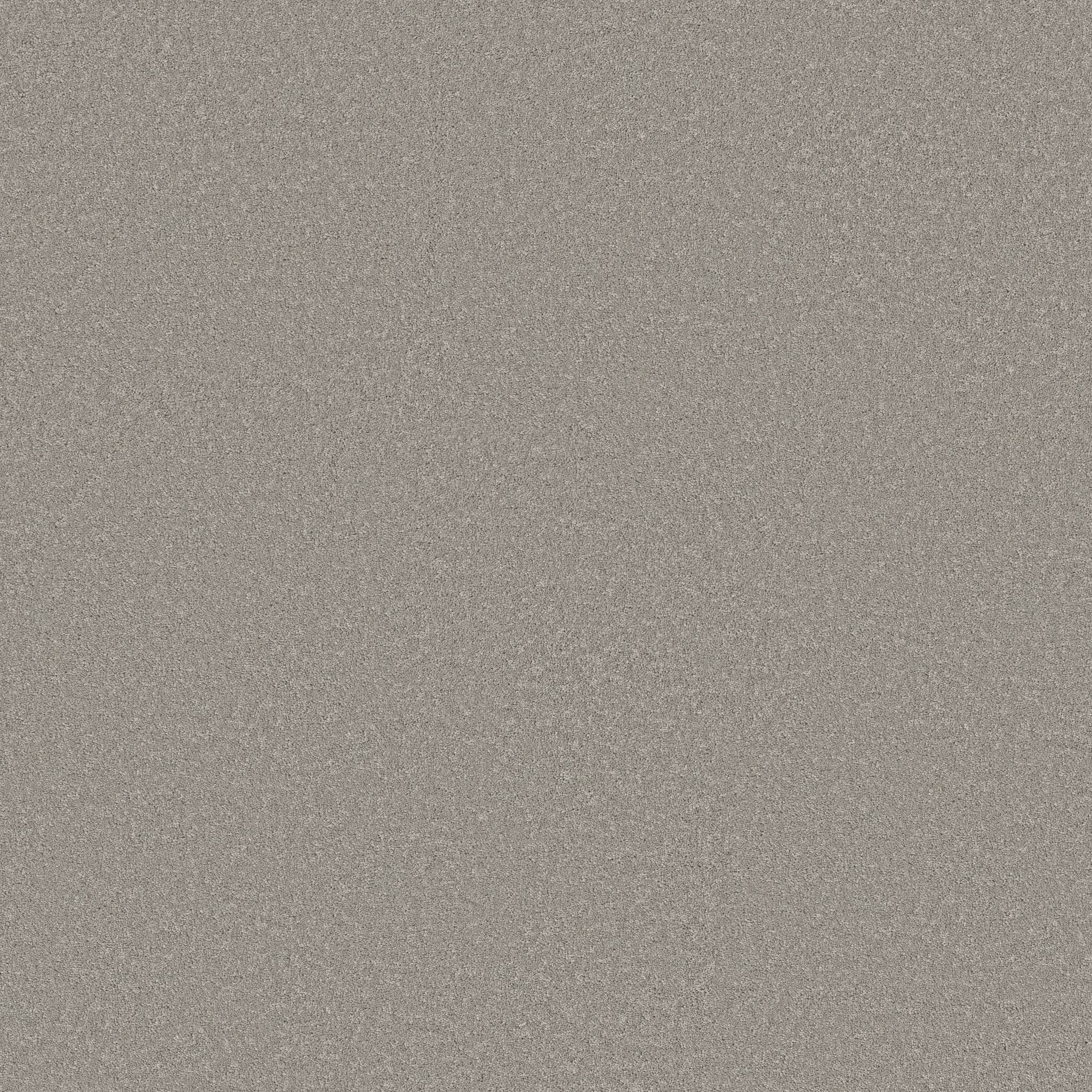 Gold Star Liberty Carpet - Whisper Zoomed Swatch Image