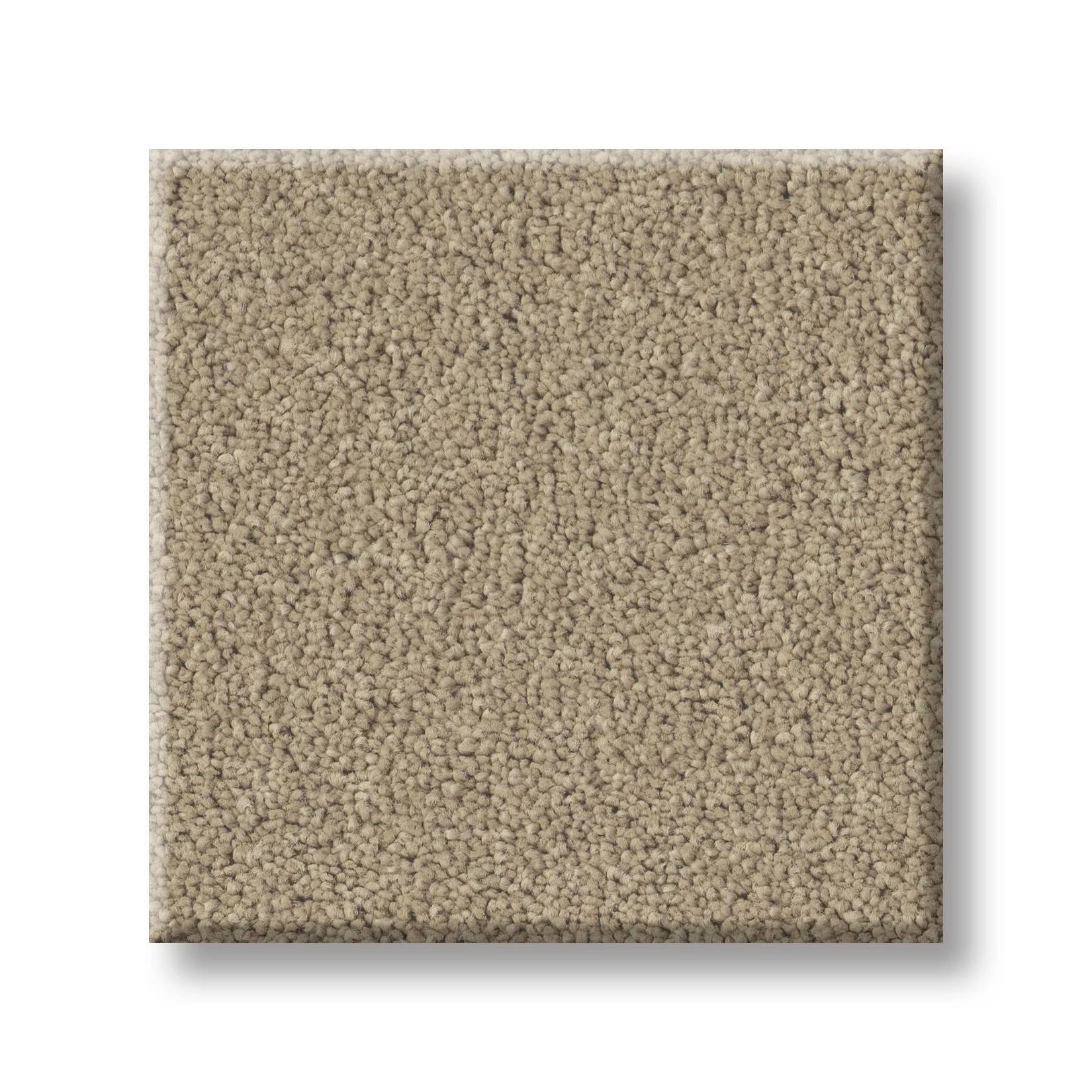 Gold Star Liberty Carpet - Khaki Swatch Thumbnail pupop1