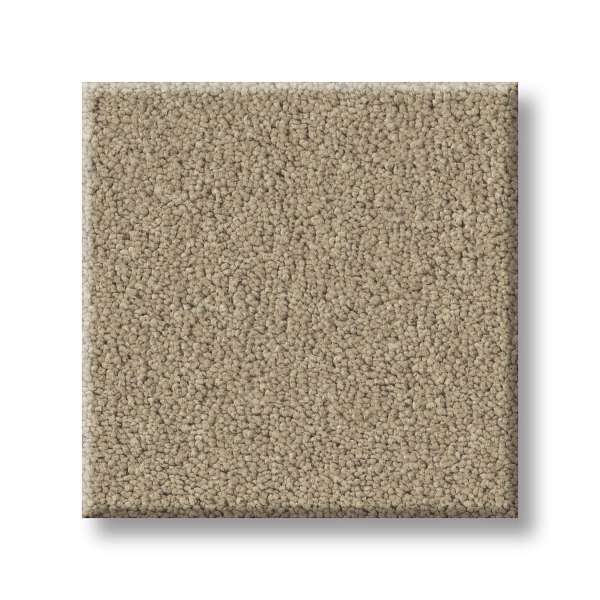 Style Gold Star Liberty Carpet - Khaki Swatch