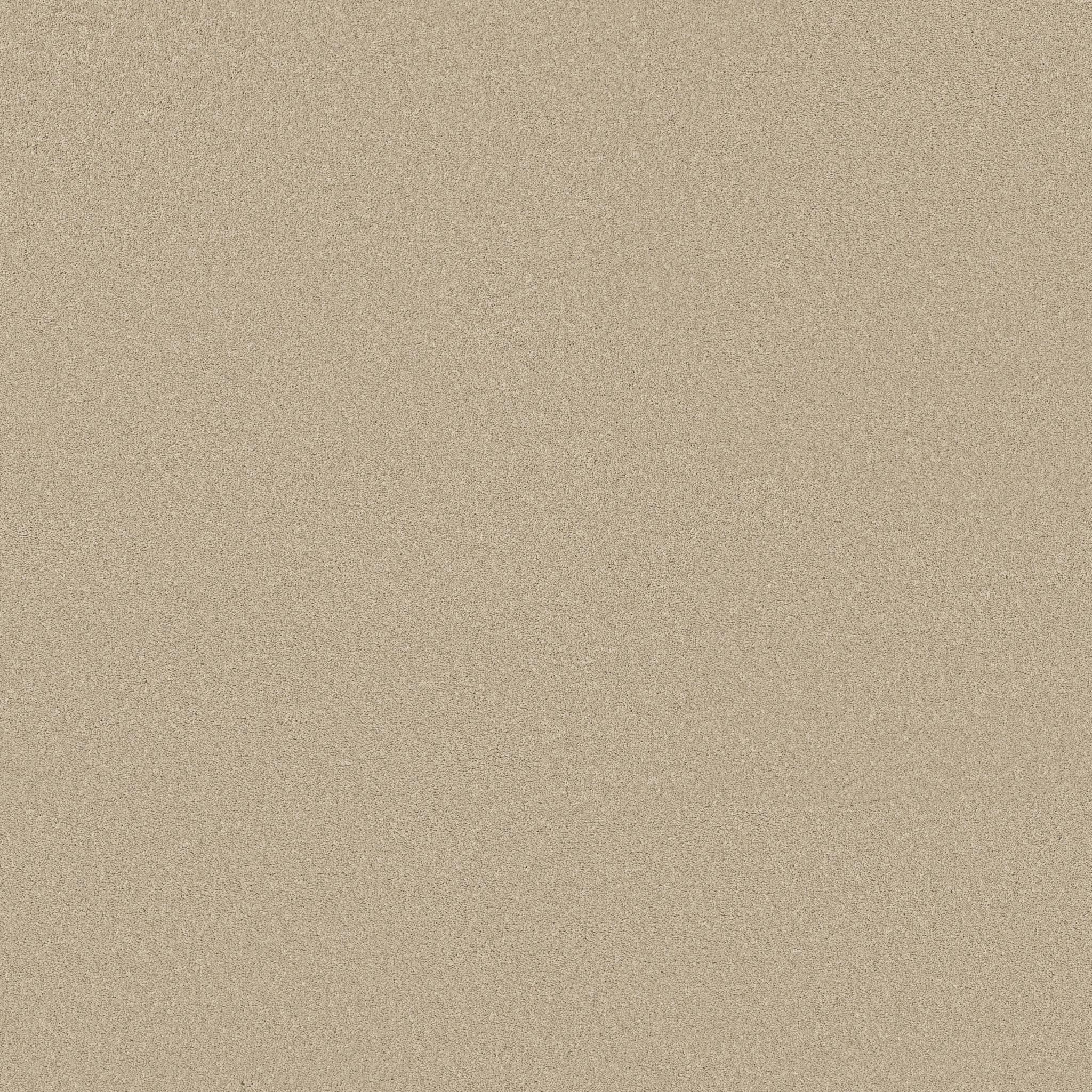 Executive Liberty Carpet - Honeycomb Zoomed Swatch Image