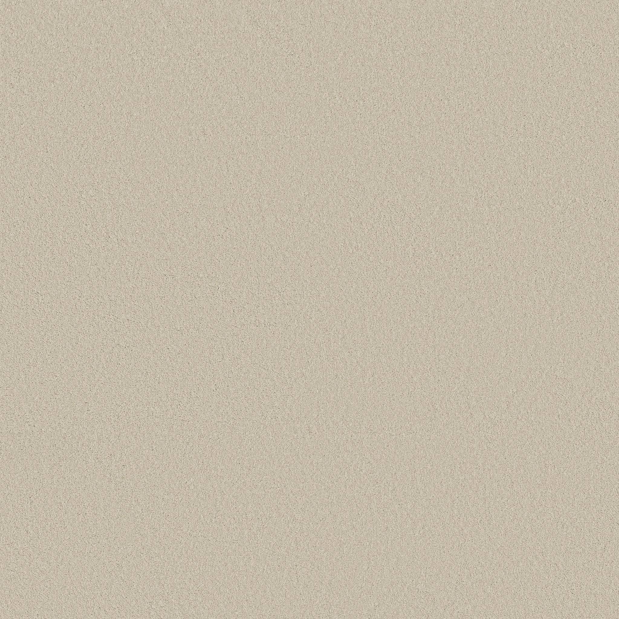Executive Liberty Carpet - Cream Suede Zoomed Swatch Image