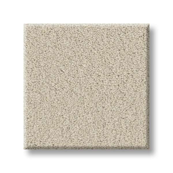 Style Executive Liberty Carpet - Cream Suede Swatch