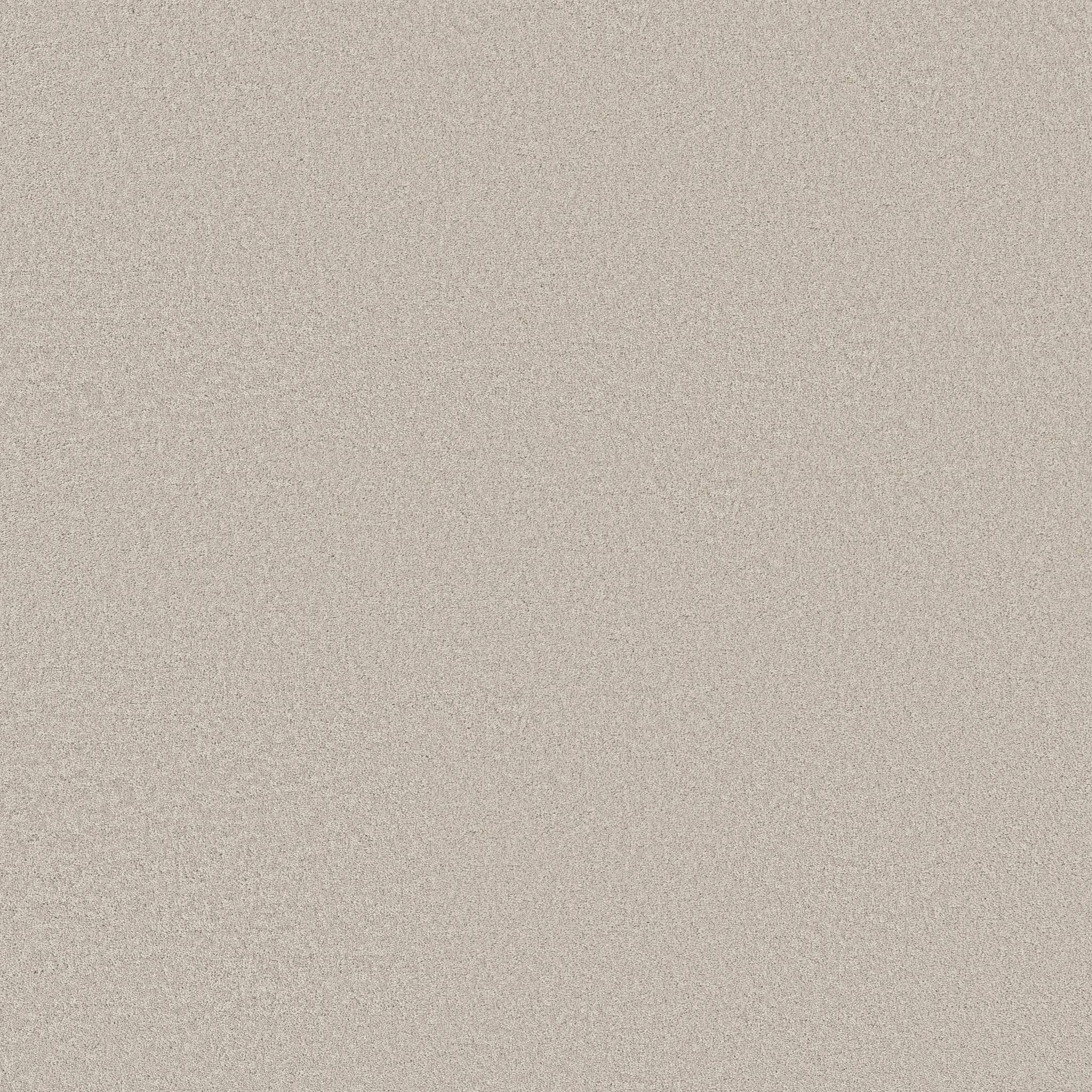 Executive Liberty Carpet - Sand Dollar Zoomed Swatch Image