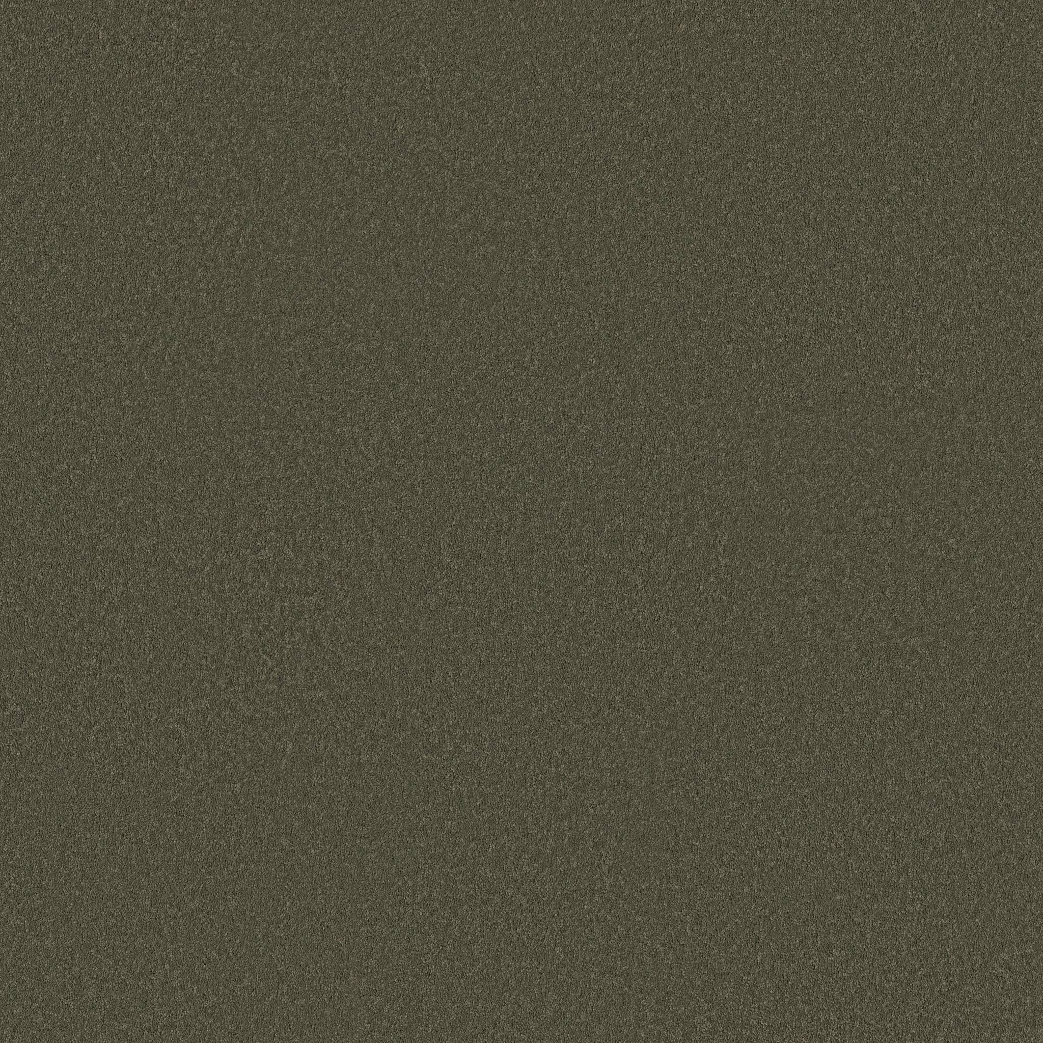 Executive Liberty Carpet - Ivy Way Zoomed Swatch Image