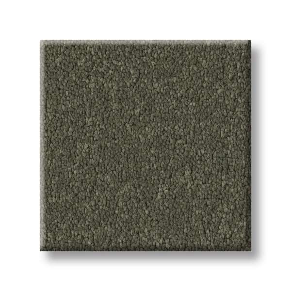 Style Executive Liberty Carpet - Ivy Way Swatch