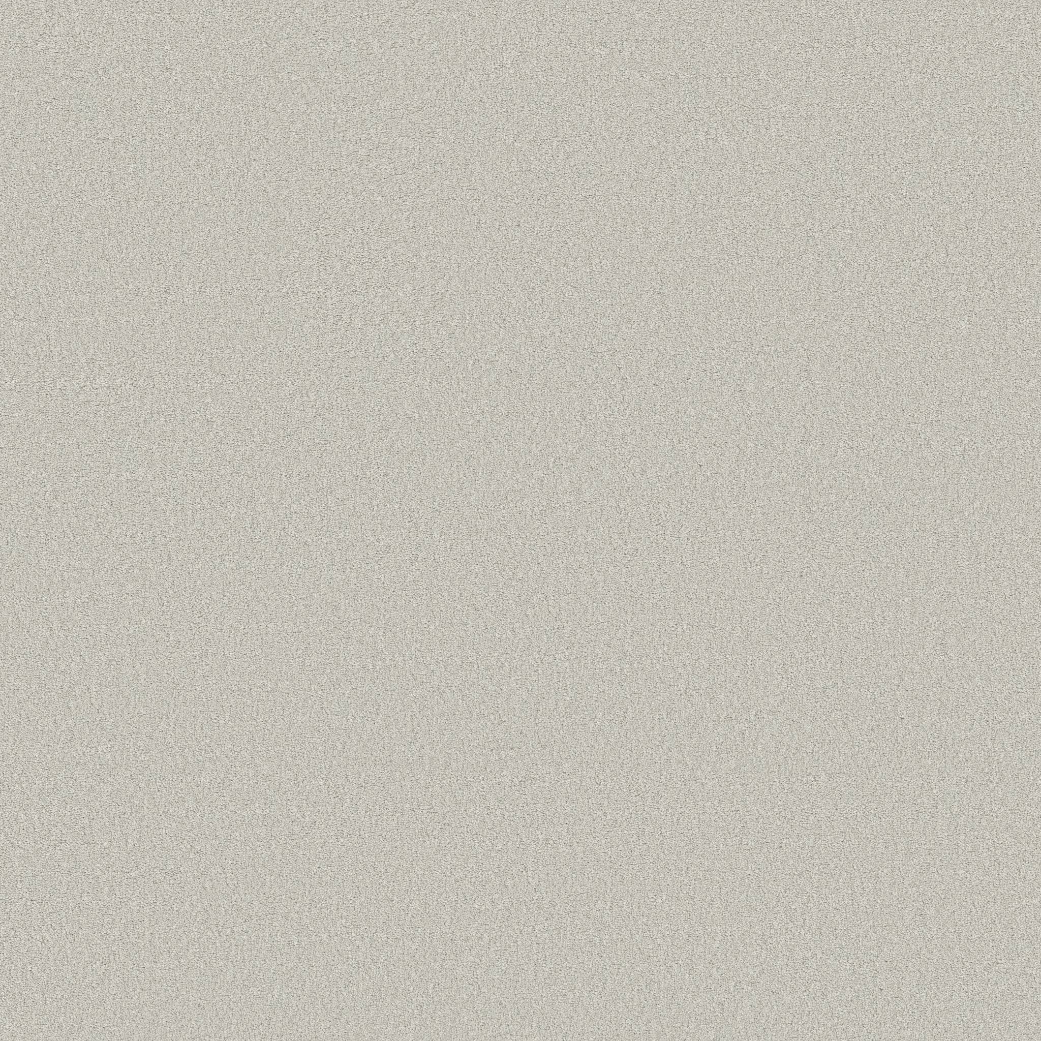 Executive Liberty Carpet - Silver Mist Zoomed Swatch Image