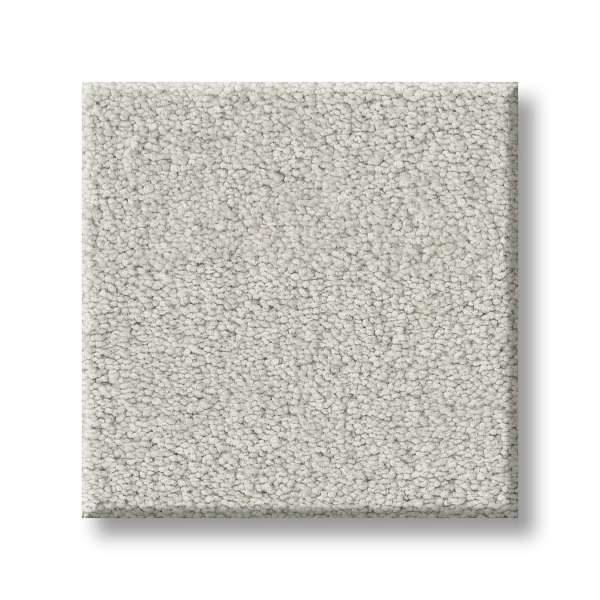 Style Executive Liberty Carpet - Silver Mist Swatch