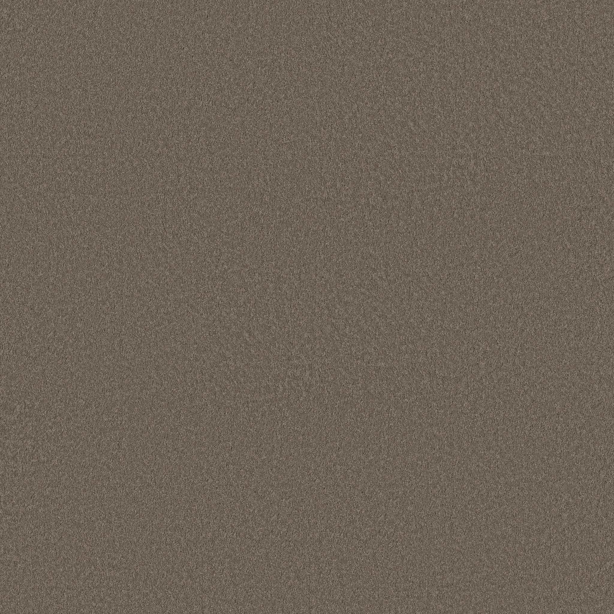 Executive Liberty Carpet - Brown Sugar Zoomed Swatch Image