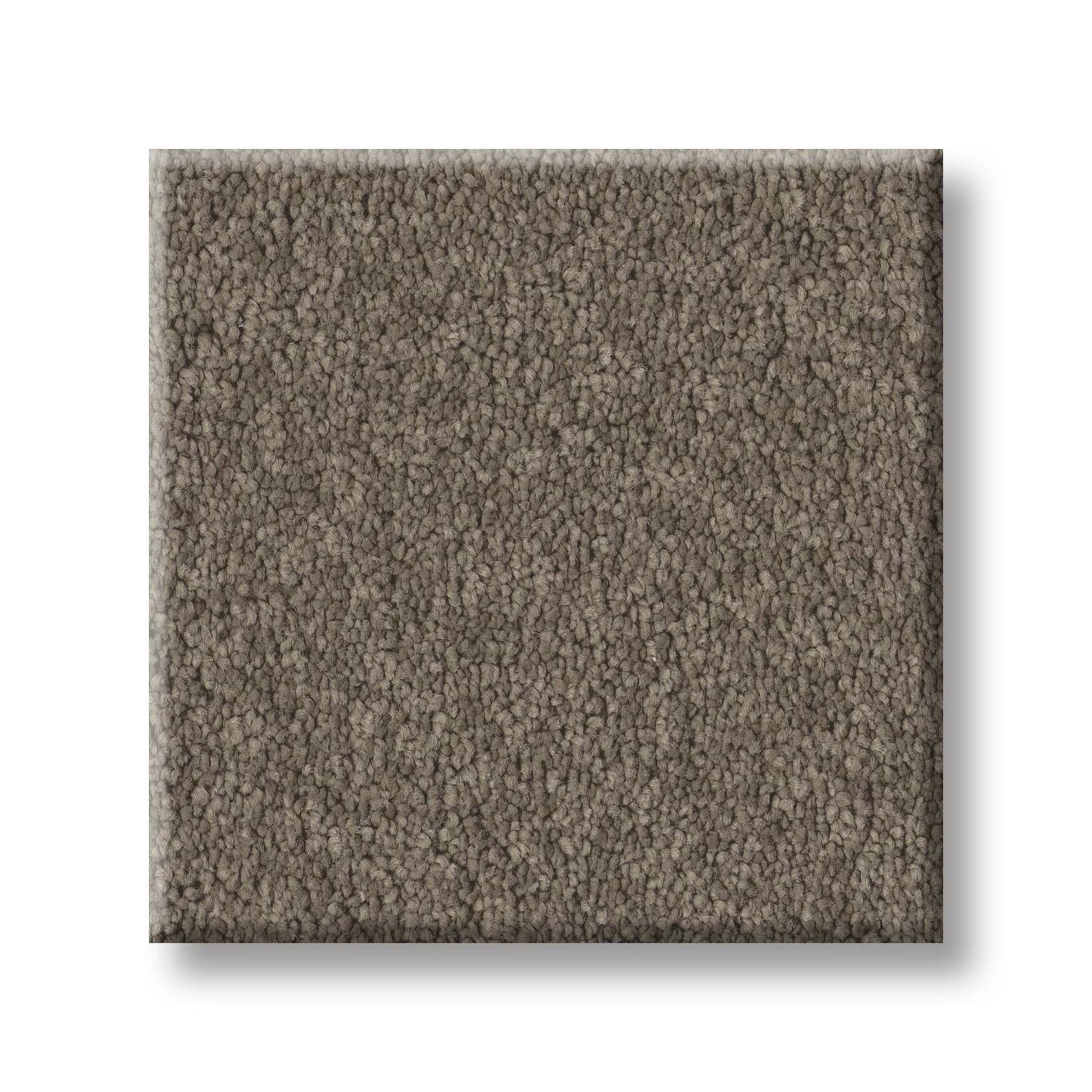 Executive Liberty Carpet - Brown Sugar Swatch Thumbnail pupop1