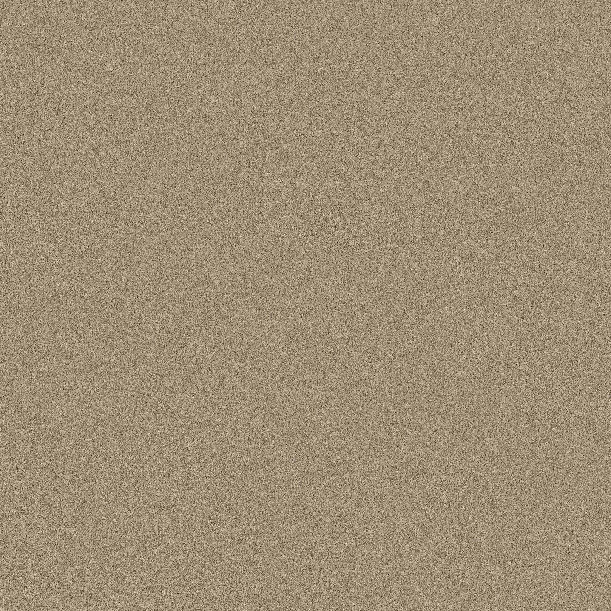 Executive Liberty Carpet - Khaki Zoomed Swatch Image