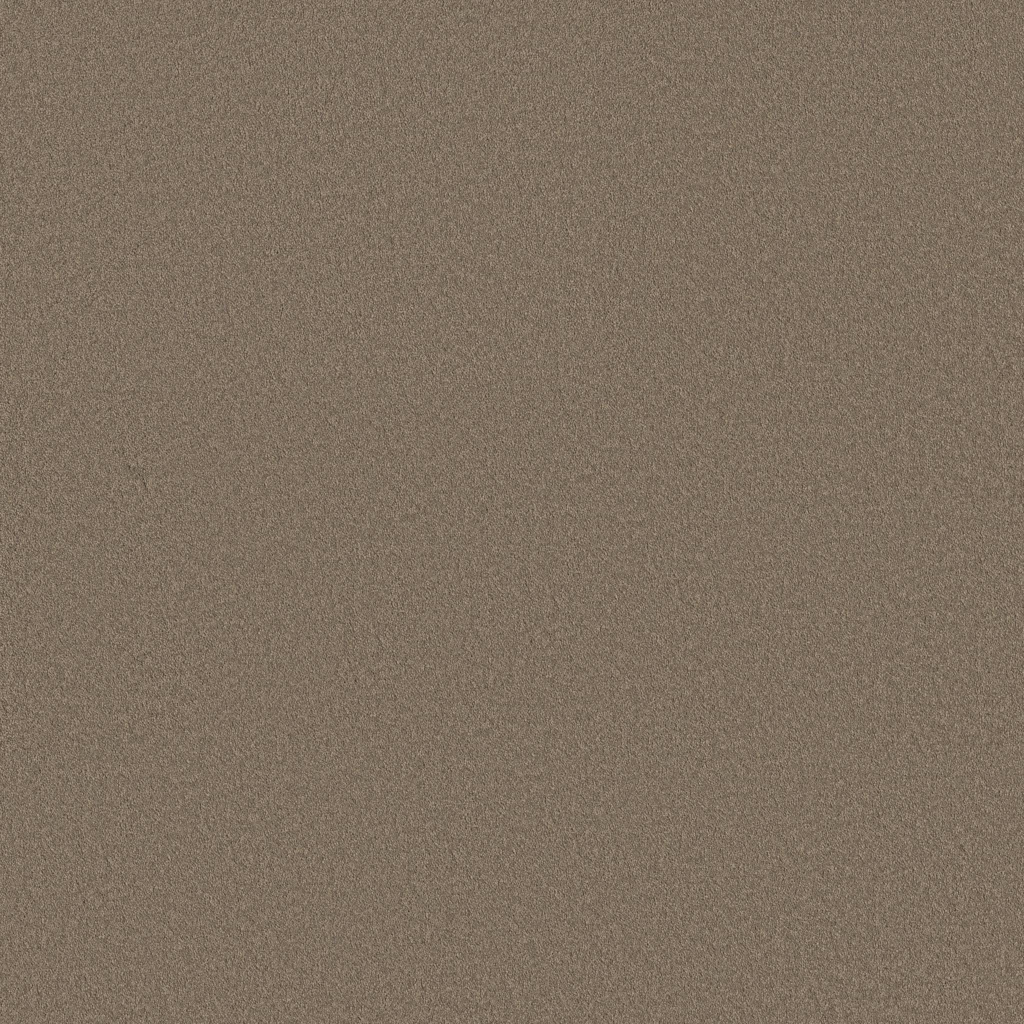 Executive Liberty Carpet - Camelback Zoomed Swatch Image