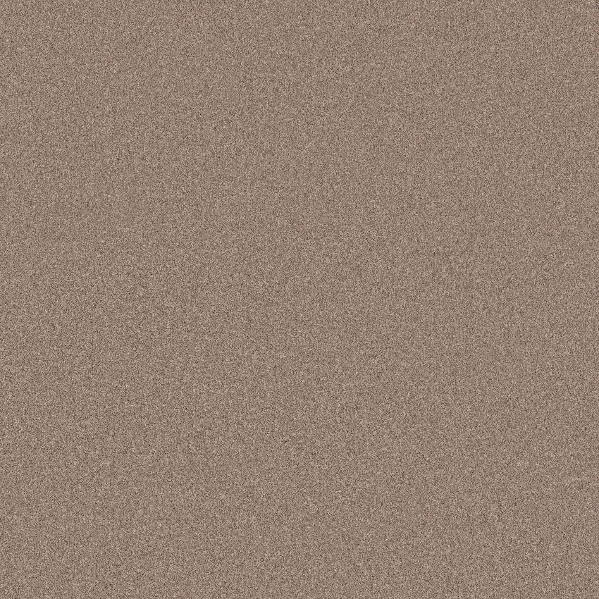 Executive Liberty Carpet - Petals Zoomed Swatch Image