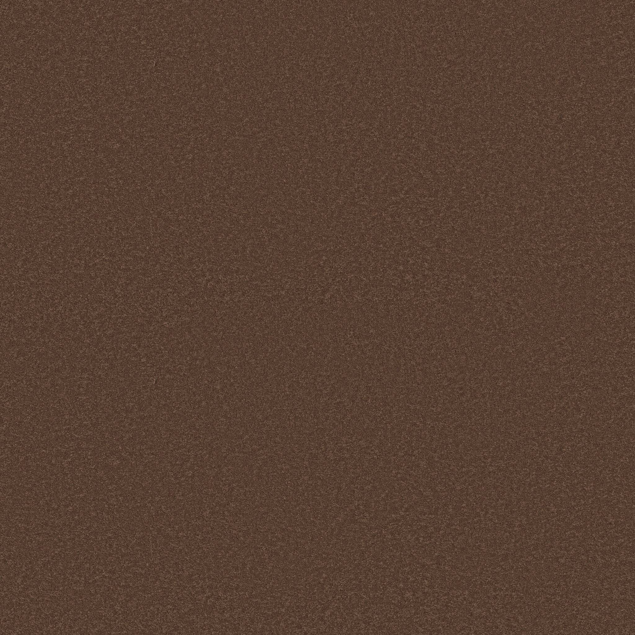 Executive Liberty Carpet - Burnt Sienna Zoomed Swatch Image