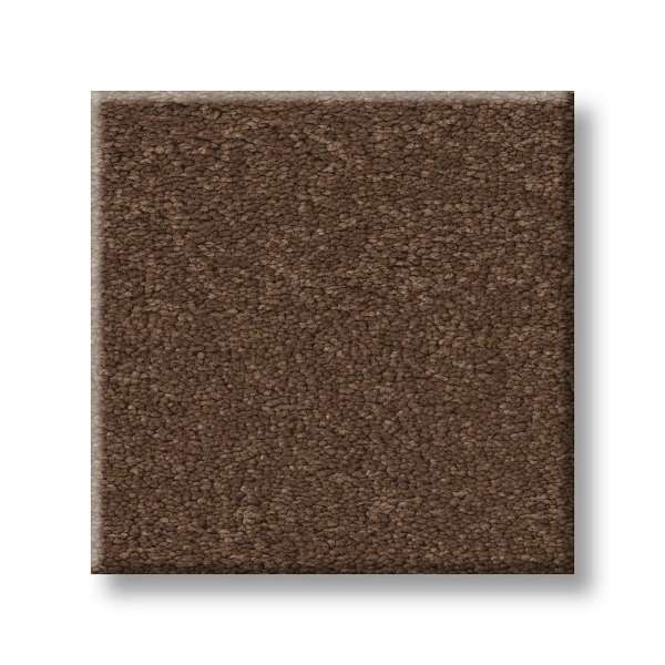 Style Executive Liberty Carpet - Burnt Sienna Swatch