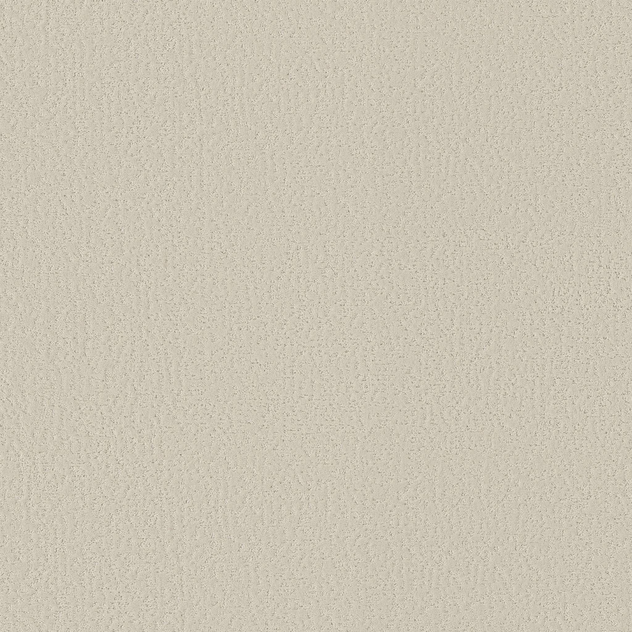 Executive Independence Carpet - Linen Zoomed Swatch Image