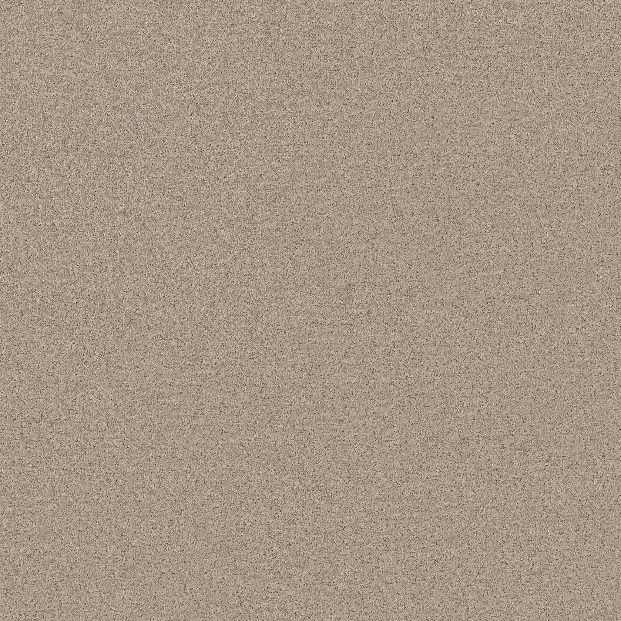 Executive Independence Carpet - Cashmere Zoomed Swatch Image