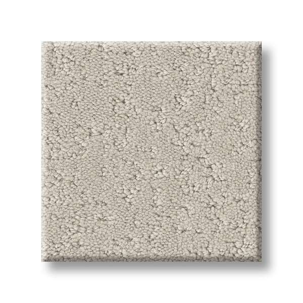 Style Executive Independence Carpet - Sand Dollar Swatch