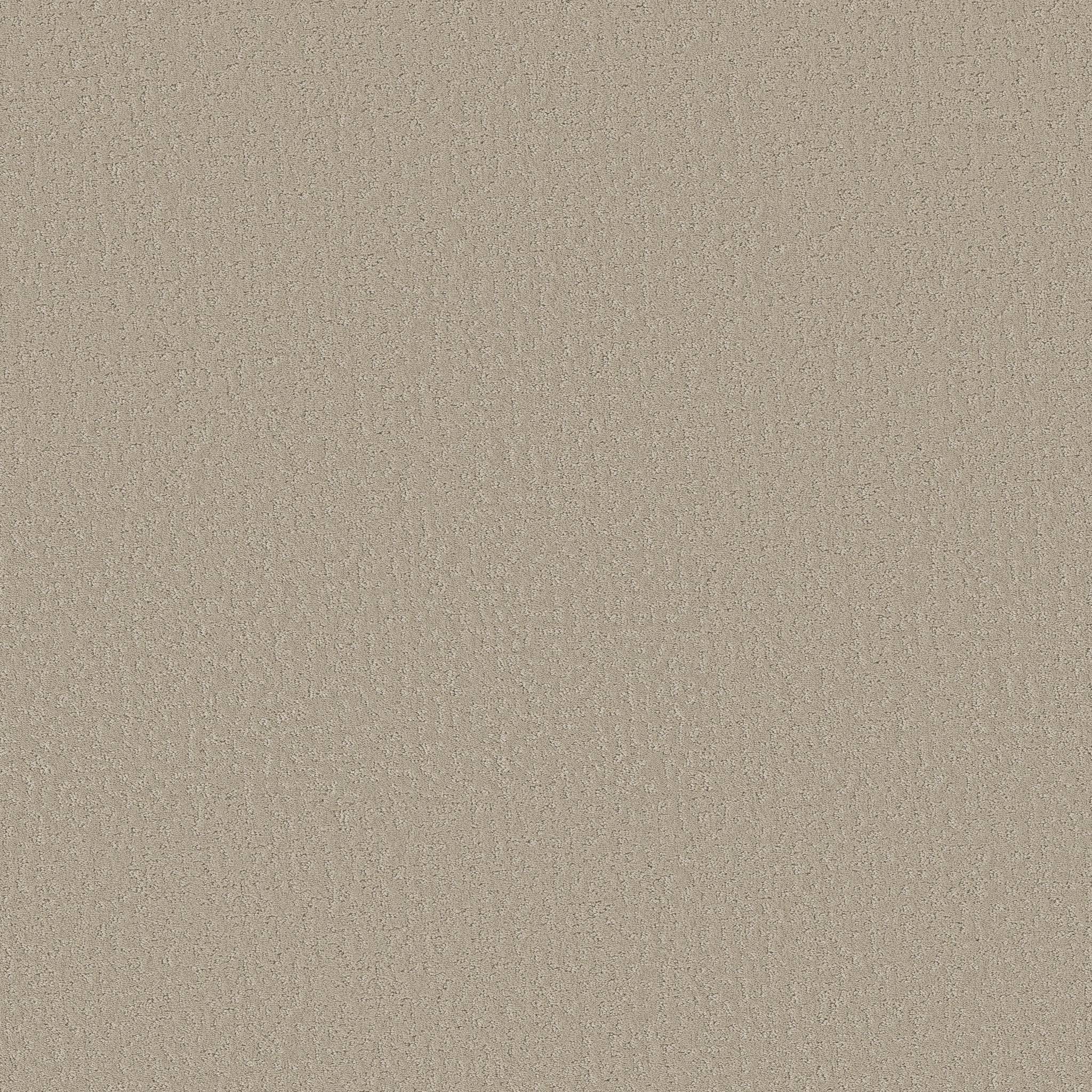 Executive Independence Carpet - Velvet Haze Zoomed Swatch Image