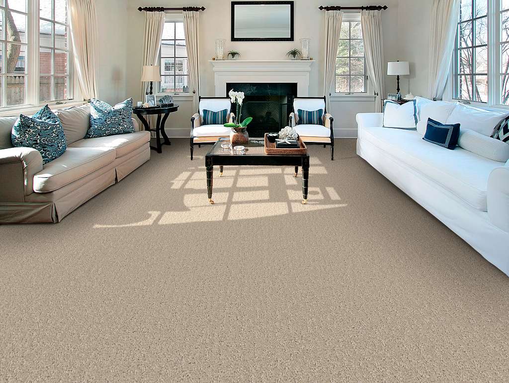 Executive Independence Carpet - Velvet Haze Room Scene Image