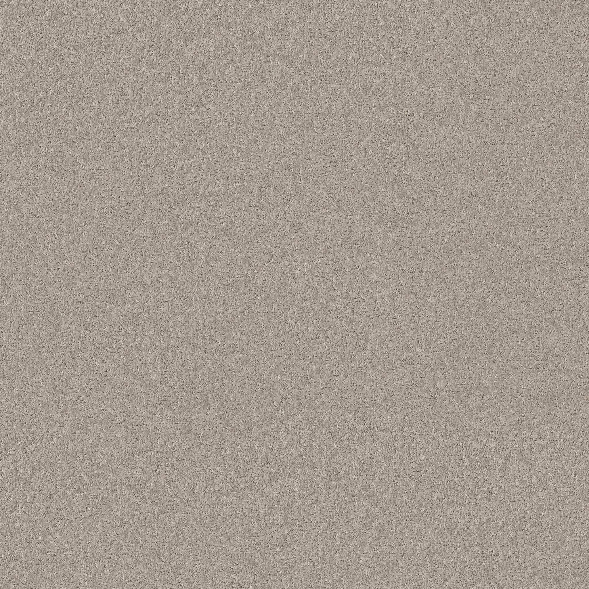 Executive Independence Carpet - Oatmeal Zoomed Swatch Image