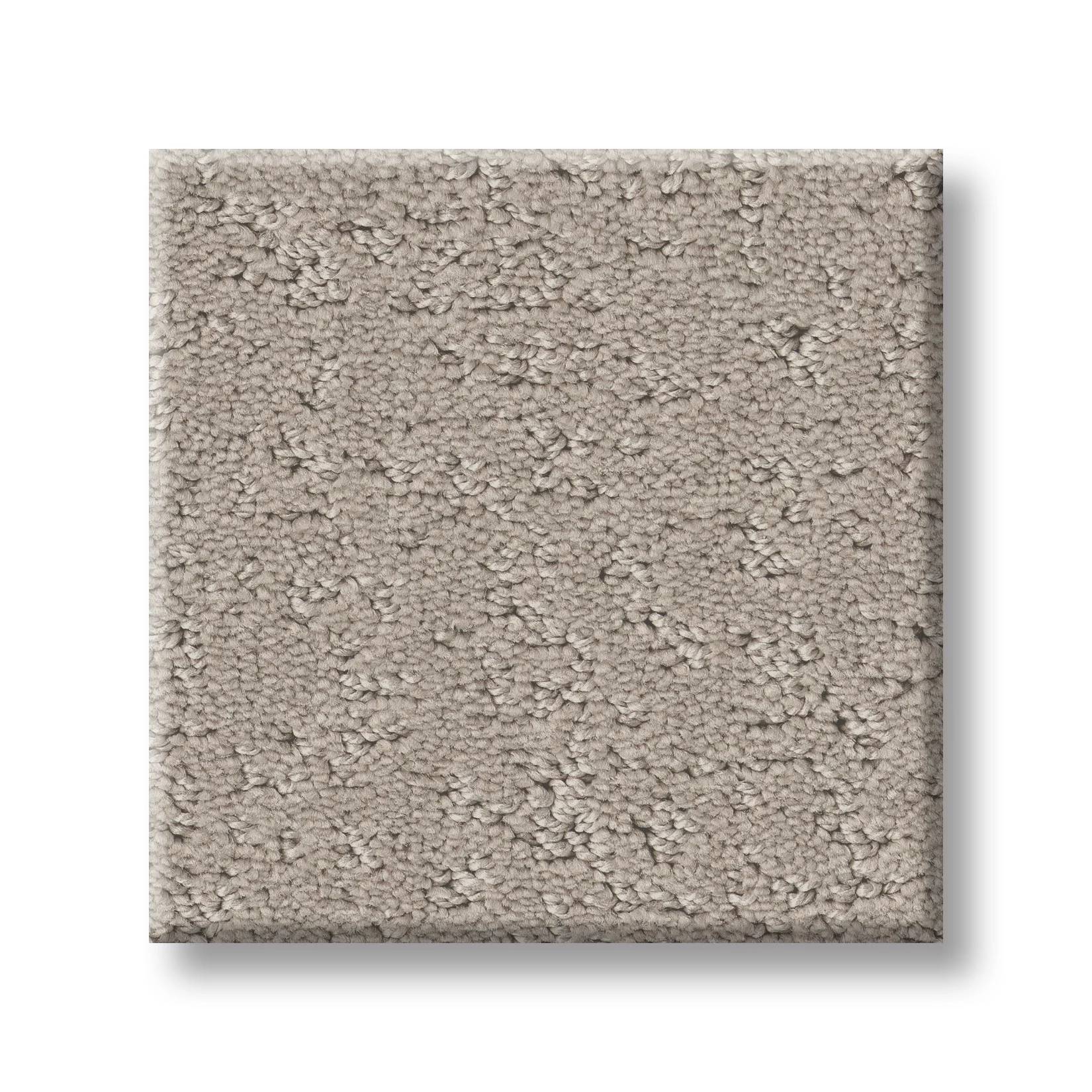Executive Independence Carpet - Oatmeal Swatch Thumbnail pupop1