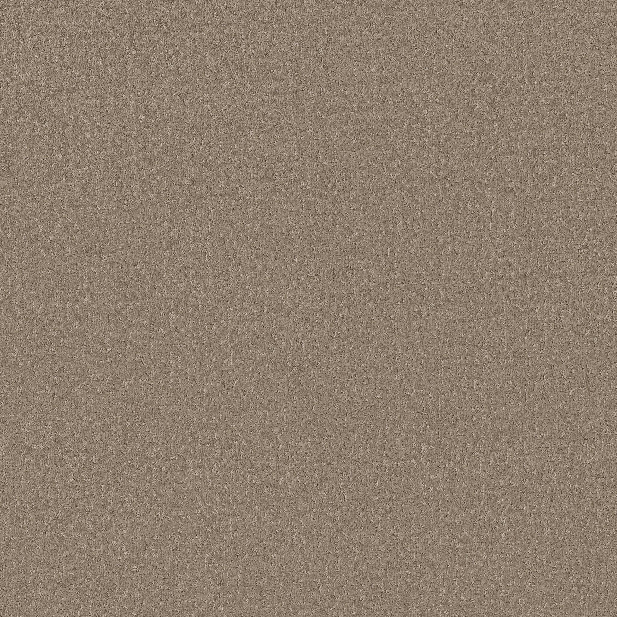 Executive Independence Carpet - Cinnamon Zoomed Swatch Image