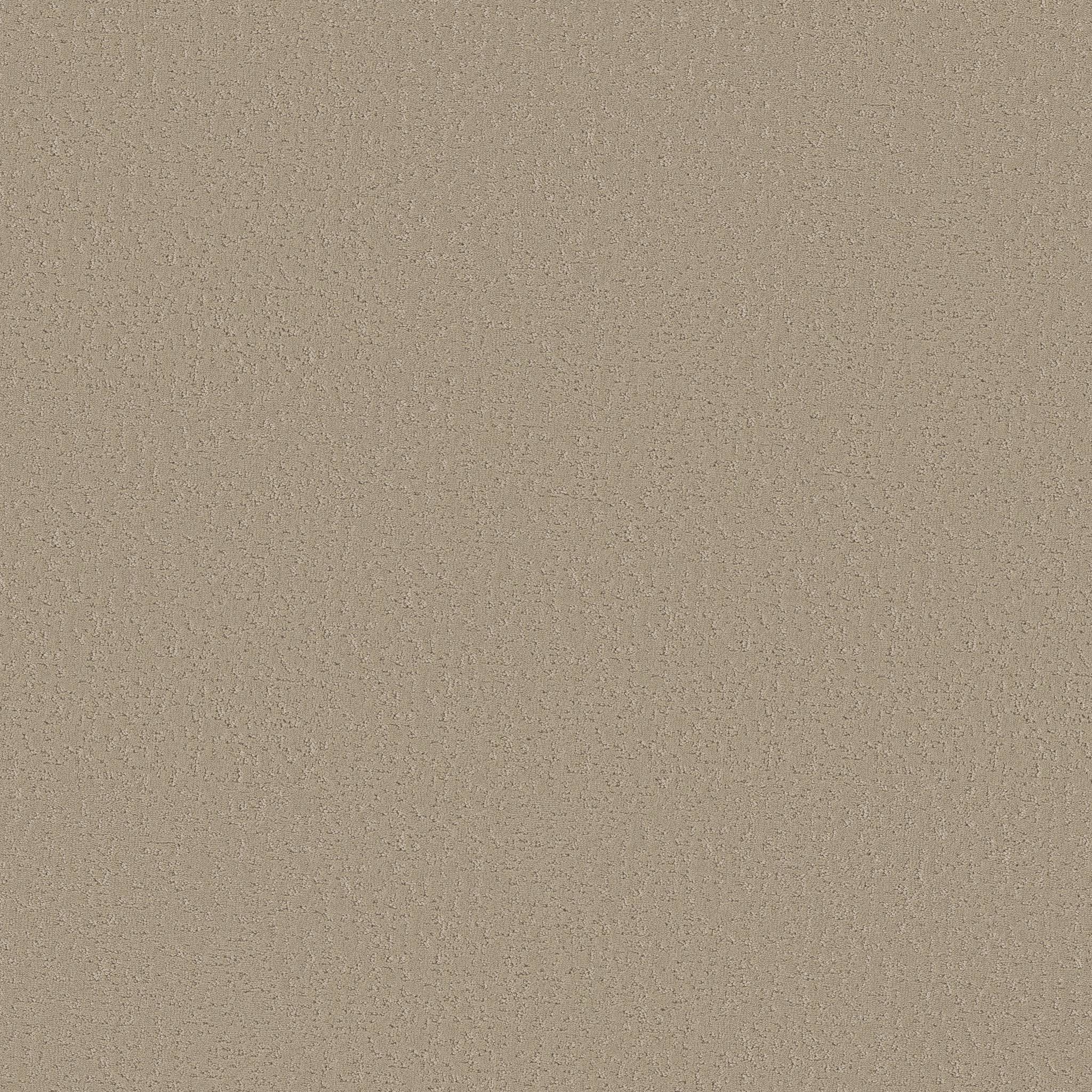 Executive Independence Carpet - Khaki Zoomed Swatch Image