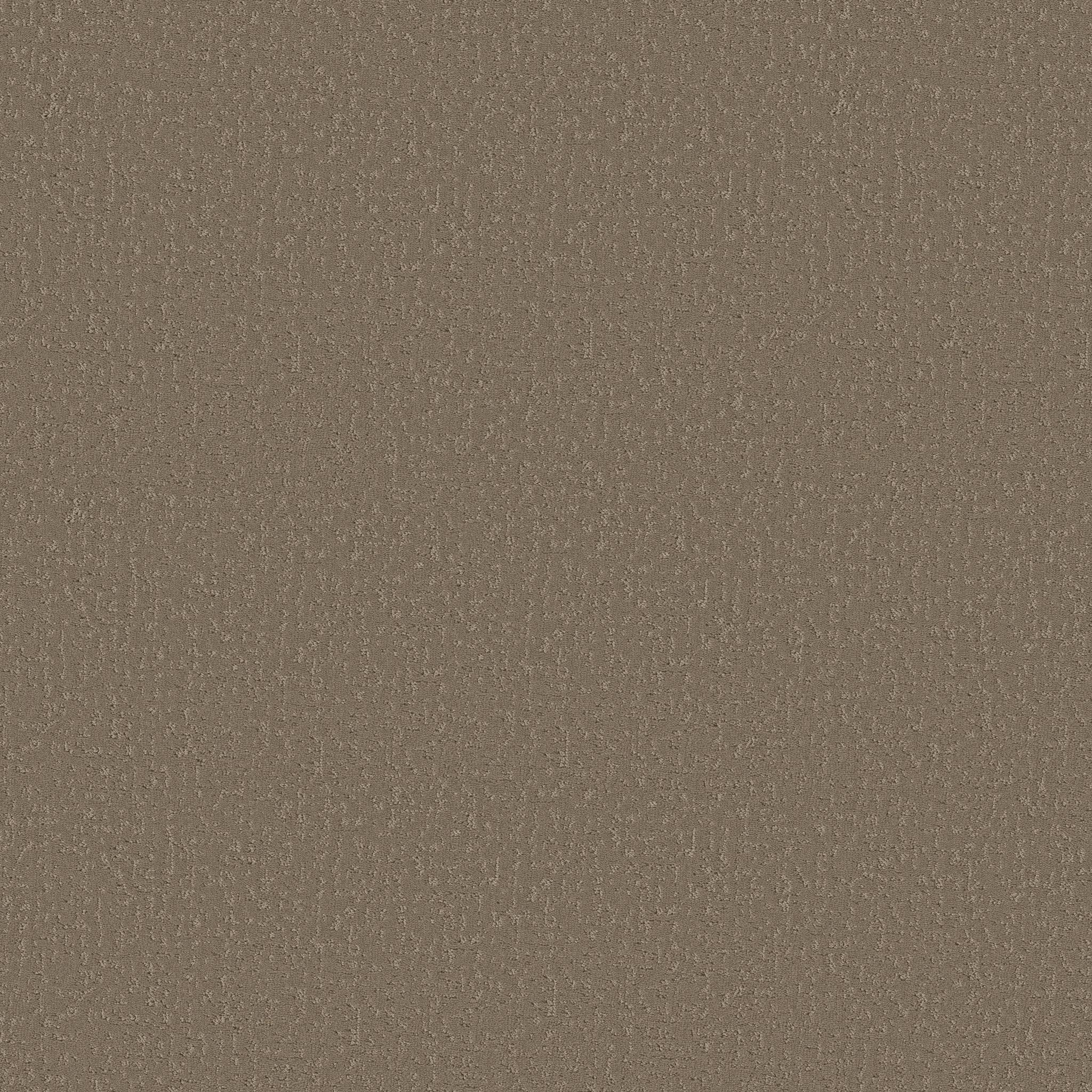 Executive Independence Carpet - Camelback Zoomed Swatch Image