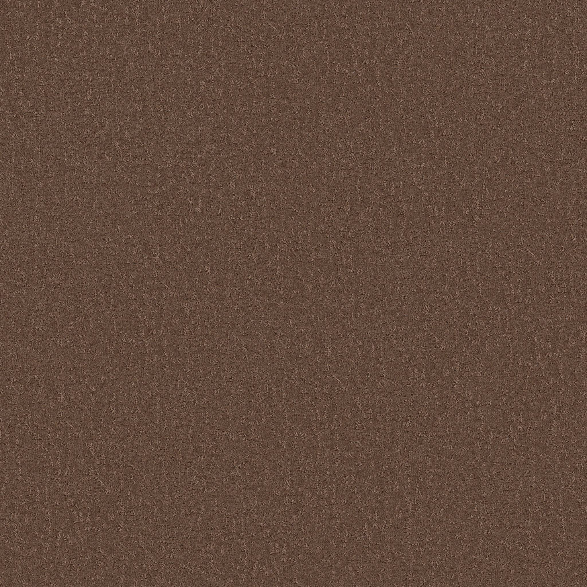 Executive Independence Carpet - Burnt Sienna Zoomed Swatch Image