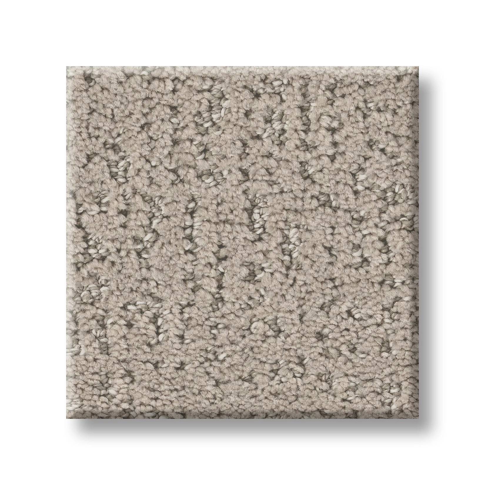 Gold Star Pioneer Carpet - Oatmeal Swatch Thumbnail pupop1