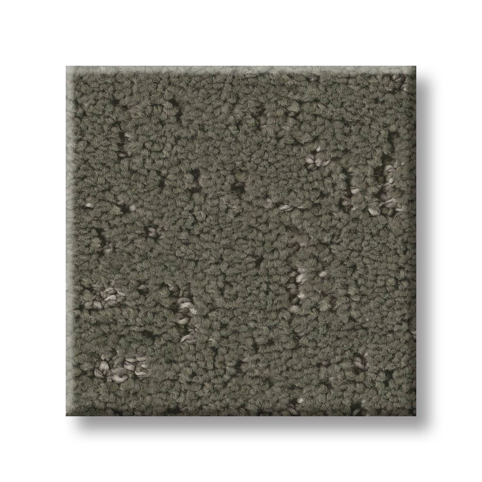Gold Star Pioneer Carpet - Ivy Way Swatch Thumbnail pupop1
