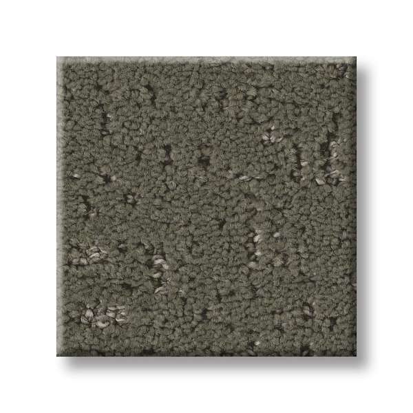 Style Gold Star Pioneer Carpet - Ivy Way Swatch