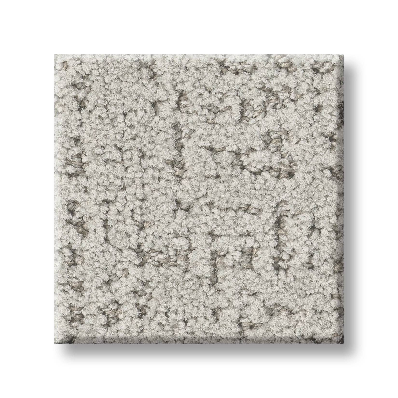 Gold Star Pioneer Carpet - Silver Mist Swatch Thumbnail pupop1