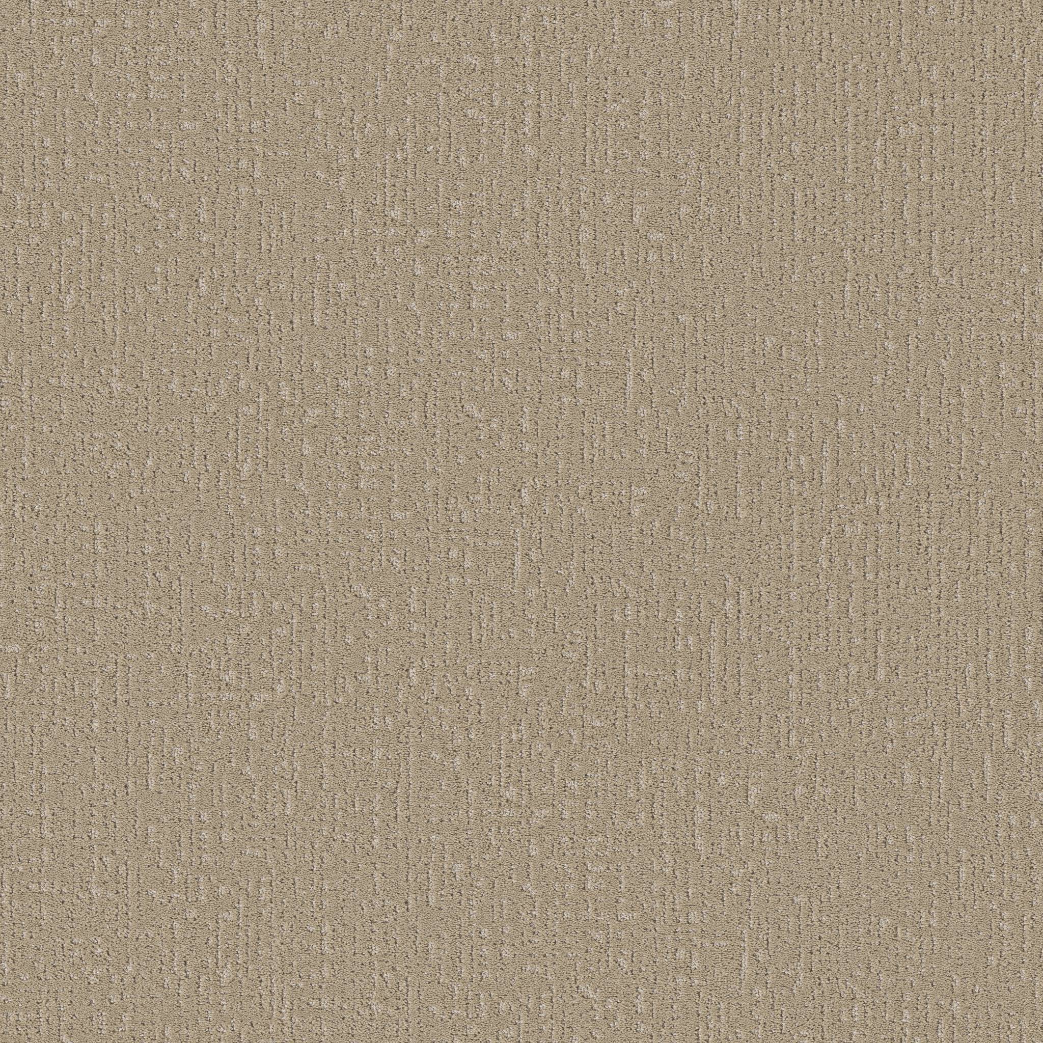 Gold Star Pioneer Carpet - Khaki Zoomed Swatch Image