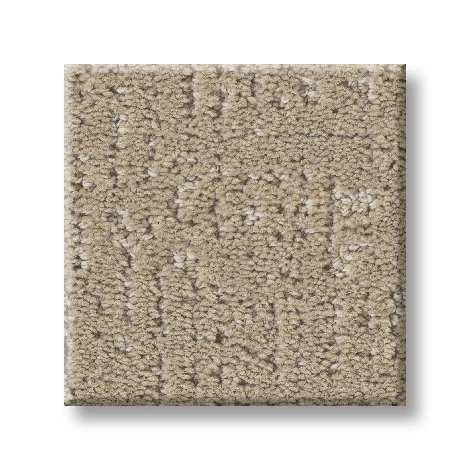 Gold Star Pioneer Carpet - Khaki Swatch Thumbnail pupop1