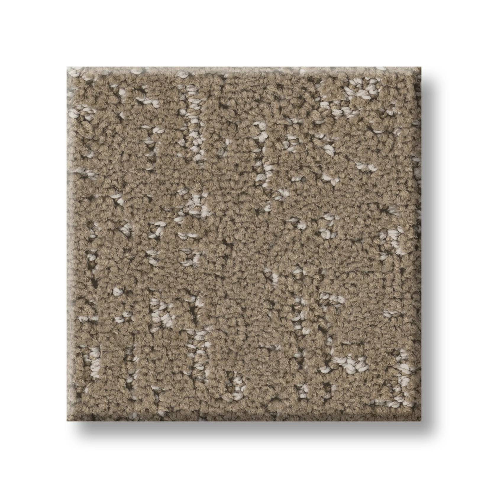Gold Star Pioneer Carpet - Camelback Swatch Thumbnail pupop1