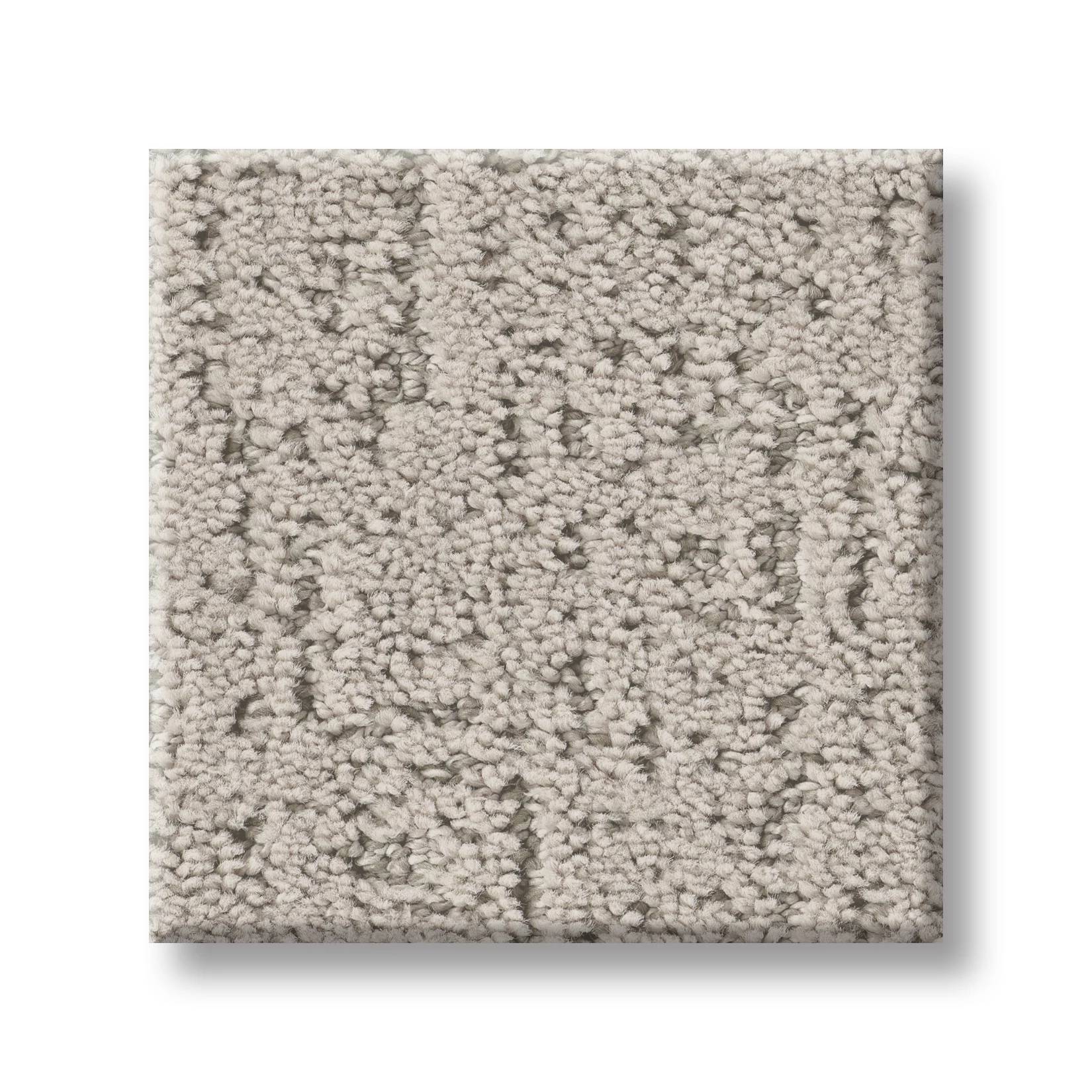 Executive Pioneer Carpet - Sand Dollar Swatch Thumbnail pupop1