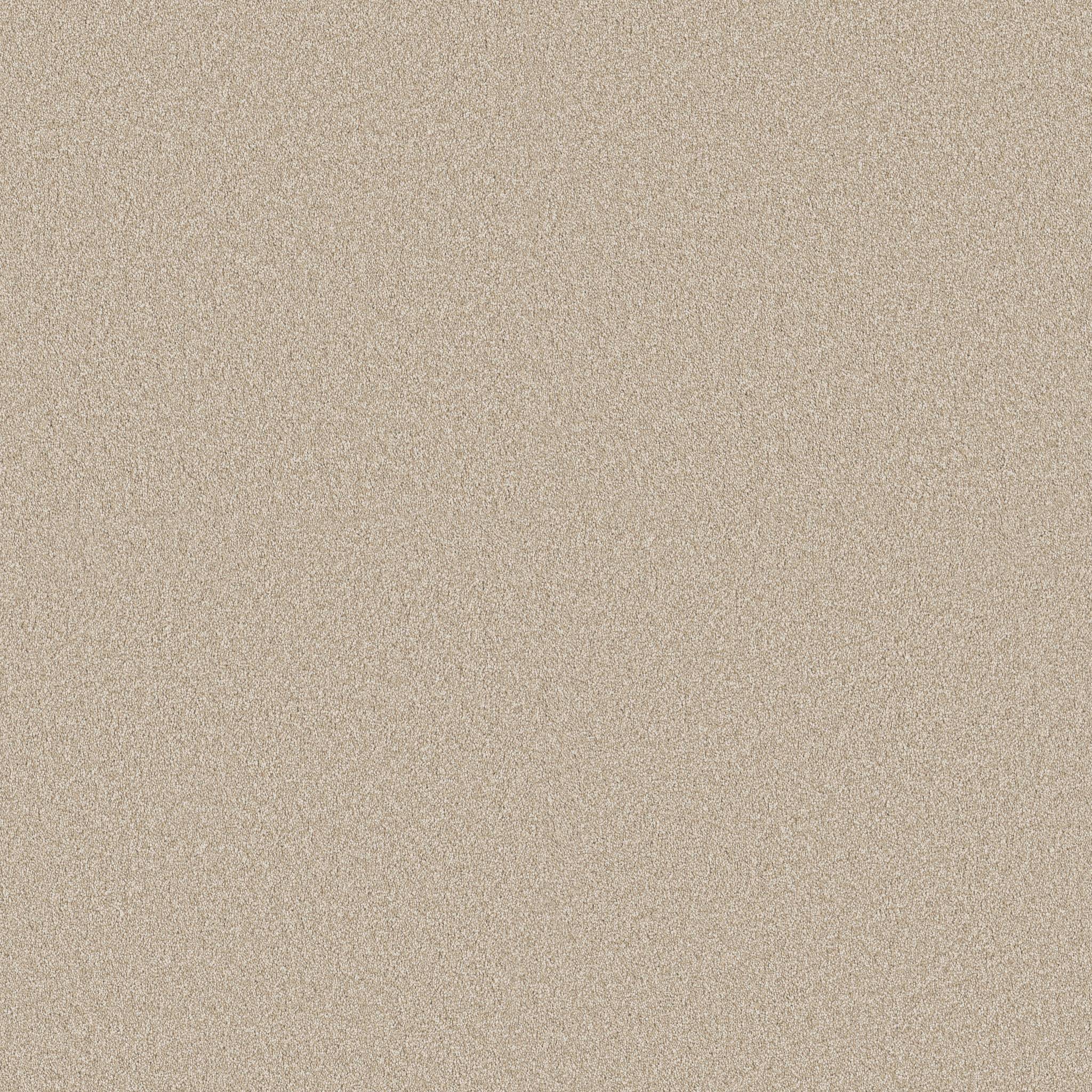 Executive Freedom Carpet - Cashmere Zoomed Swatch Image