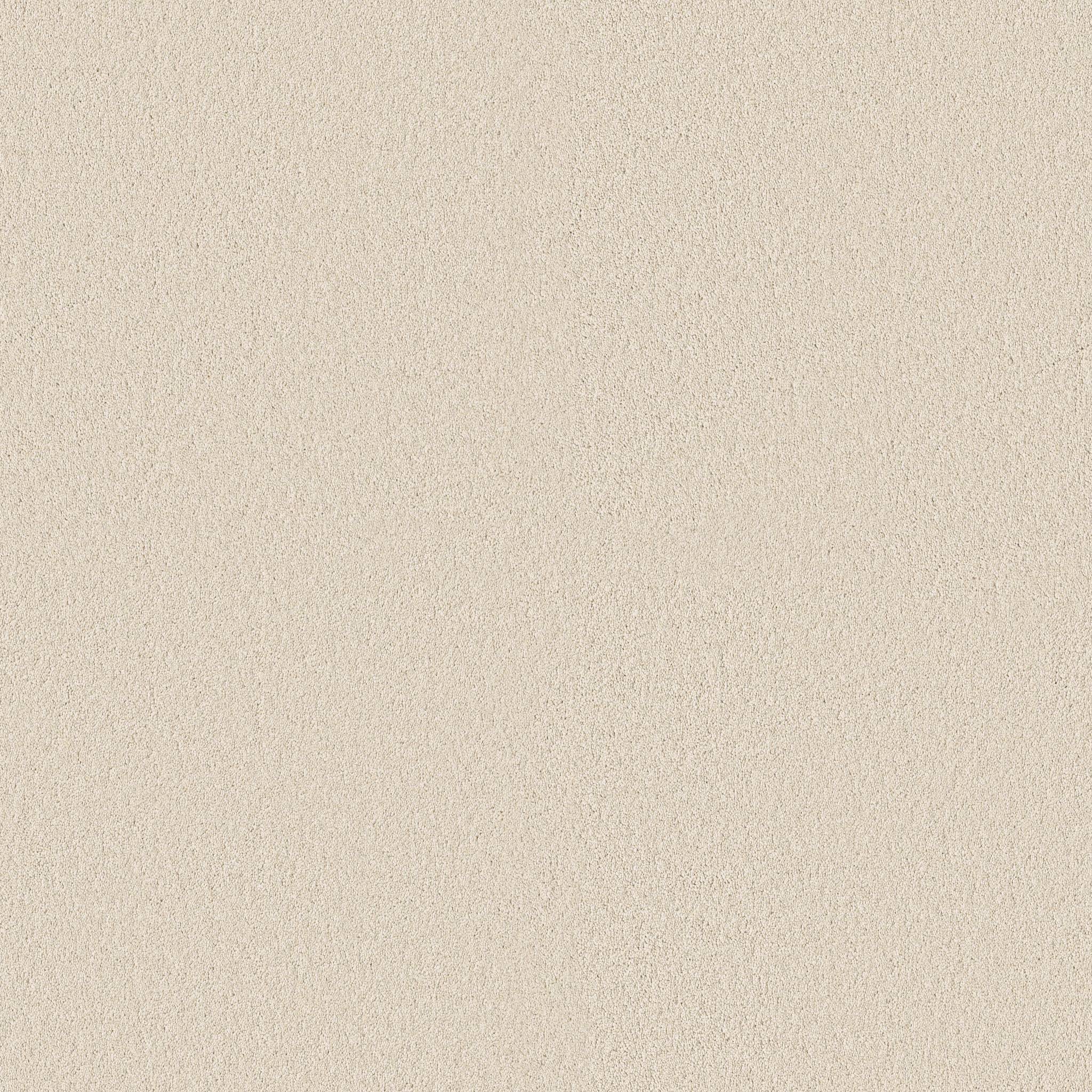 Executive Freedom Carpet - Nougat Zoomed Swatch Image