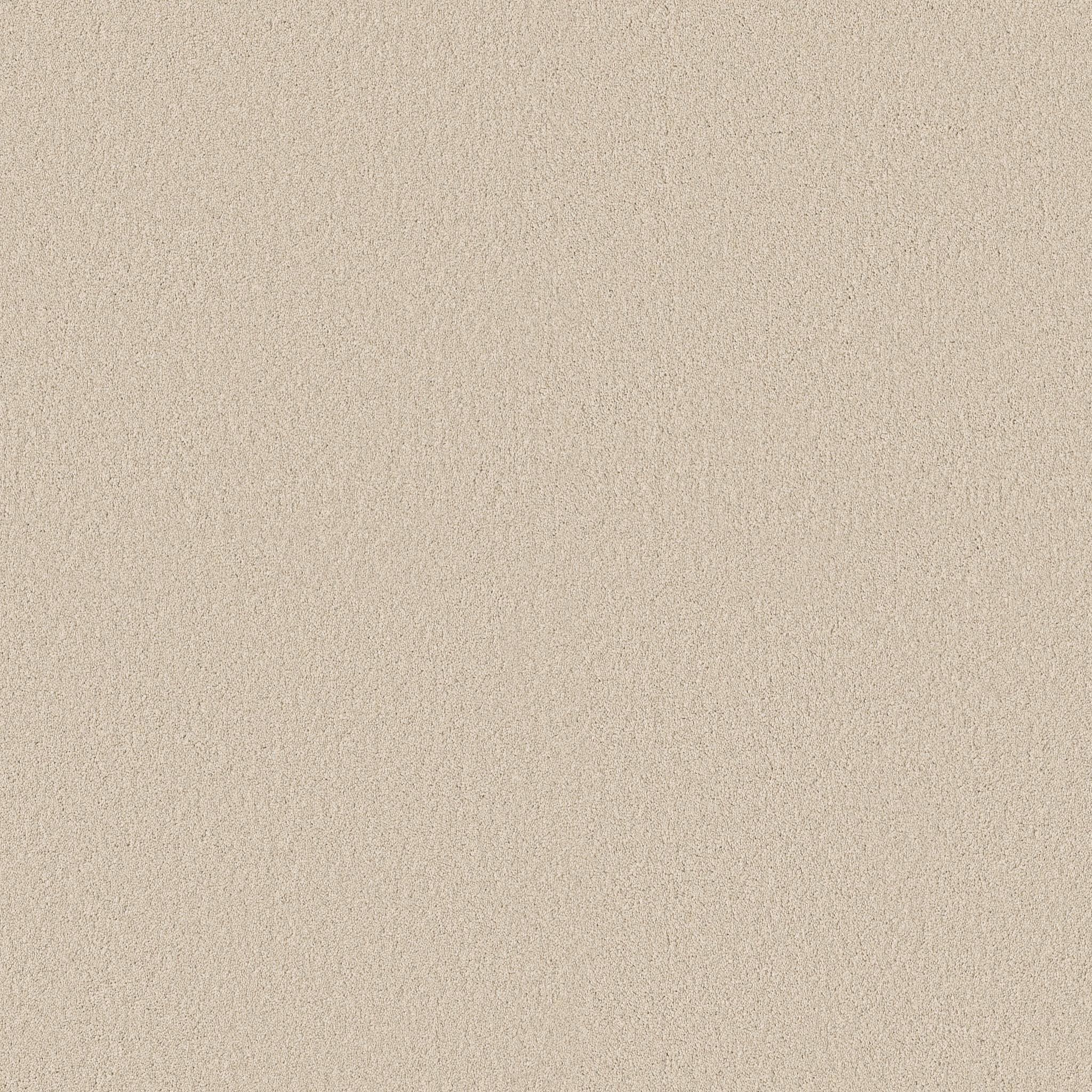 Executive Freedom Carpet - Cream Suede Zoomed Swatch Image