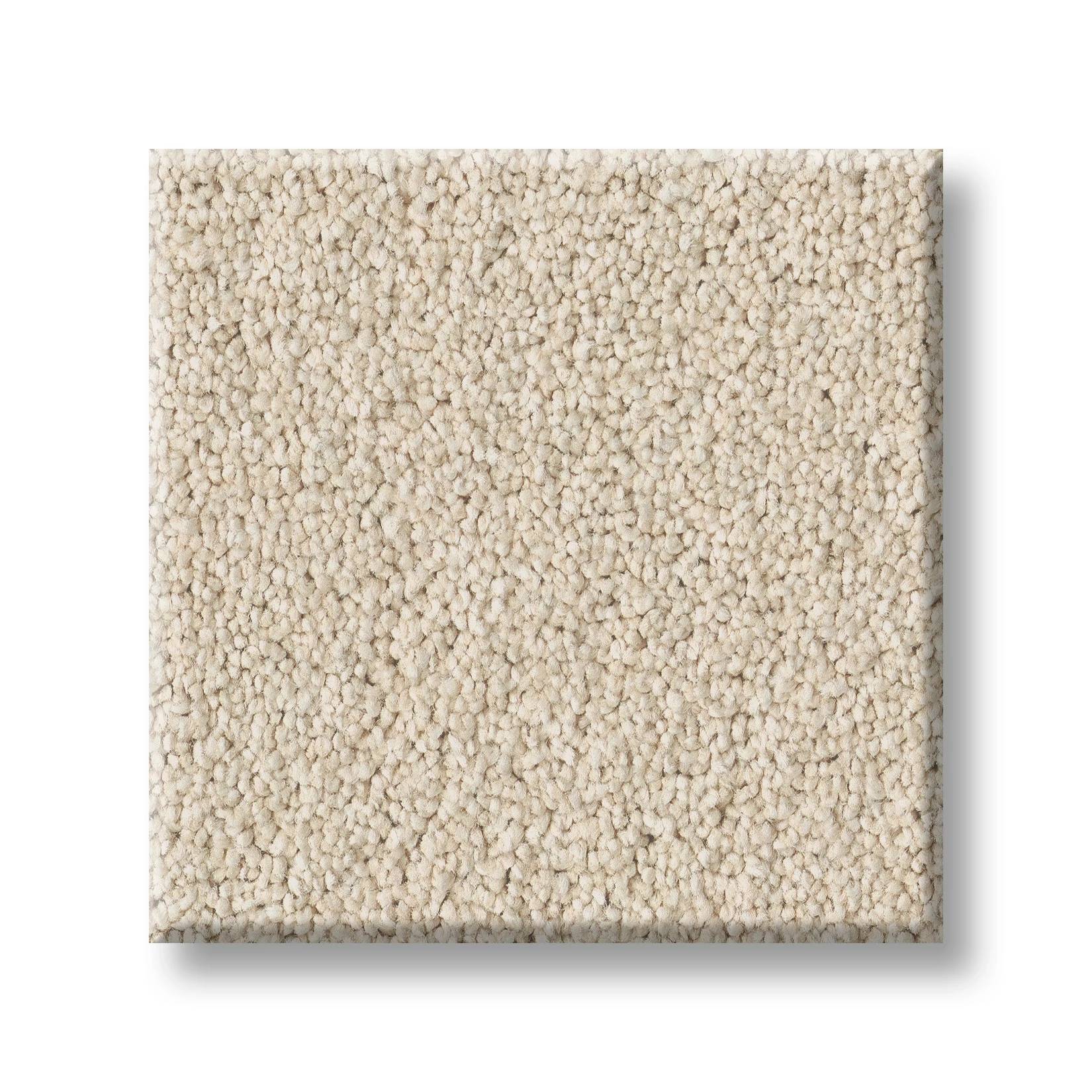 Executive Freedom Carpet - Cream Suede Swatch Thumbnail pupop1